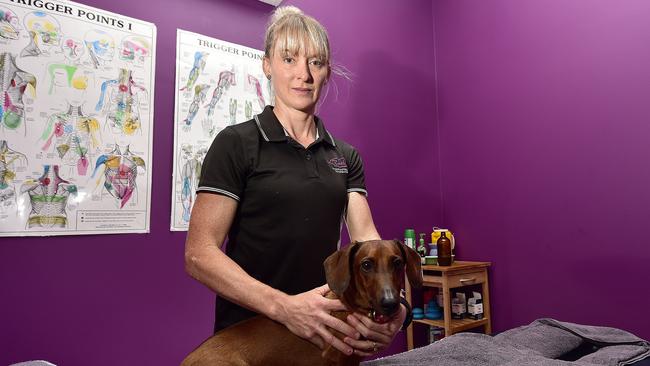 Massage therapist Ruth Corset is unable to work due to COVID-19 restrictions but is lobbying Australian Traditional Medicine Society to lift the ban like five other Australian states. Her dachshund Lucky is missing pats from clients. PICTURE: MATT TAYLOR.