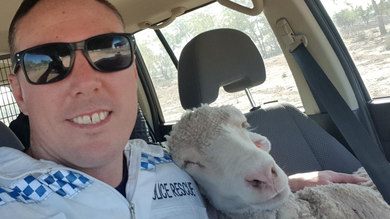 The officer took a selfie with his new friend before dropping her off a holding pen. Picture: NSW Police Force