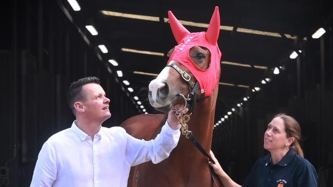 Eduardo with trainer Joe Pride and strapper Michelle Read. Picture: John Feder/The Australian