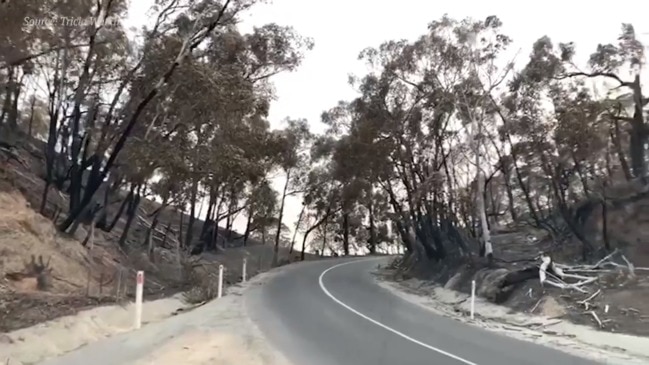 Cudlee Creek bushfire aftermath