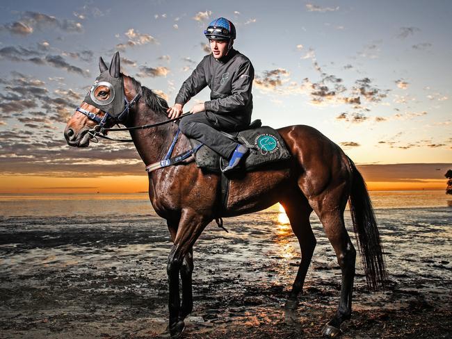 DO NOT USE, CONTACT THE-COURIER MAIL PIC DESK: Strapper for Stradbroke Handicap runner and popular Queensland horse Alligator Blood, William Lee takes Alligator Blood for a ride along Nudgee Beach.  Picture: Zak Simmonds