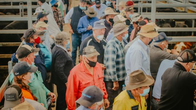 A section of the large crowd at Ballarat. Picture: Madeleine Stuchbery