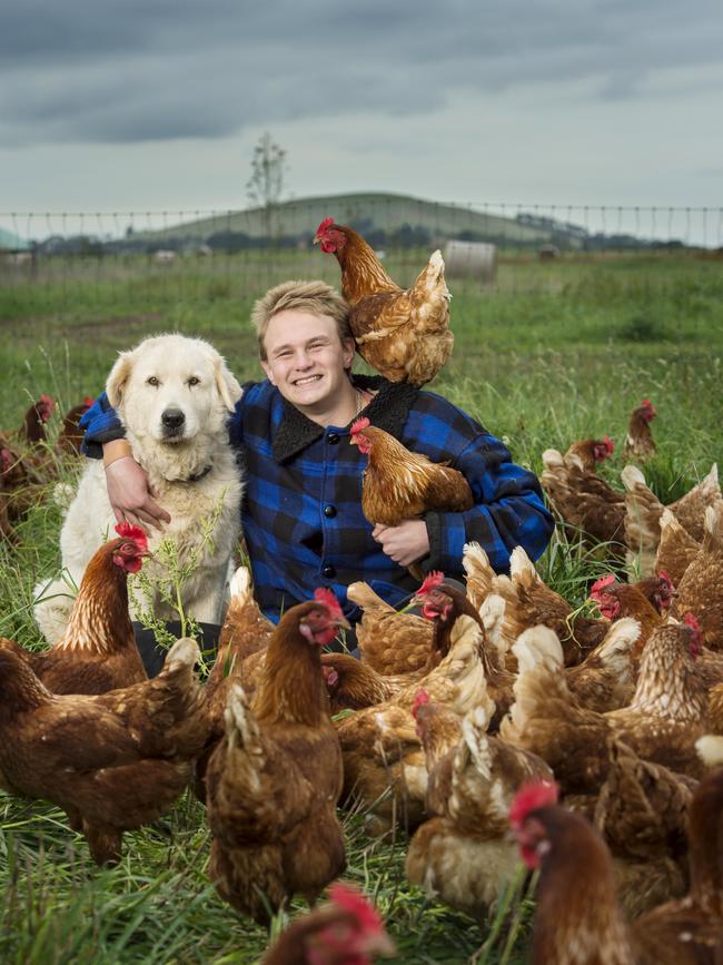 Josh was just 11 when <i>Farm </i>magazine first profiled his free-range egg operation. Now 19, Josh is still involved in the farm, with his mum, Tamsyn, overseeing operations and 15 staff. Picture: Zoe Phillips