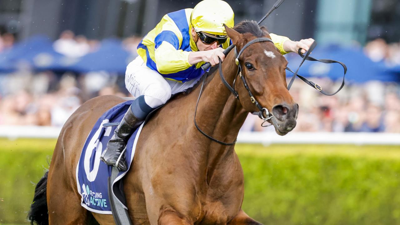 Mahagoni can carry his big weight of 64kg to victory in the Four Pillars at Rosehill. Picture: Getty Images