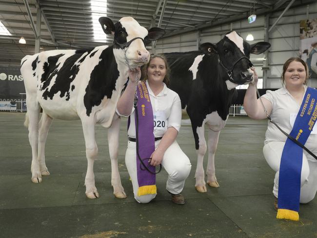 Royal Melbourne Show dairy judging | The Weekly Times