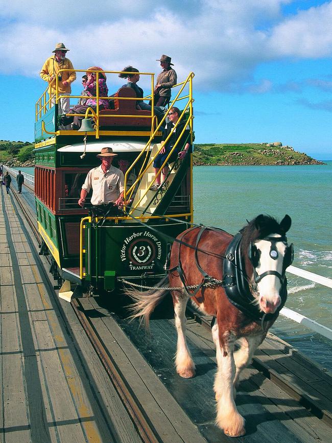 The horse-drawn tram operating between Victor Harbor and Granite Island. Picture: Tourism SA