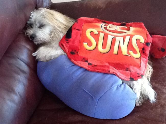 CASEY: It’s hard work being a super fan! Casey catches some shut eye now the footy’s over.