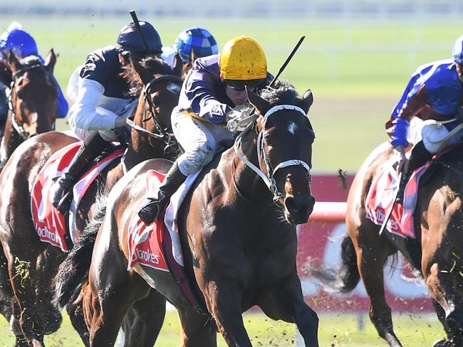 Rich Hips ridden by Michael Poy wins the Ladbrokes Handicap  at Ladbrokes Park Lakeside Racecourse on July 08, 2020 in Springvale, Australia. (Pat Scala/Racing Photos via Getty Images)