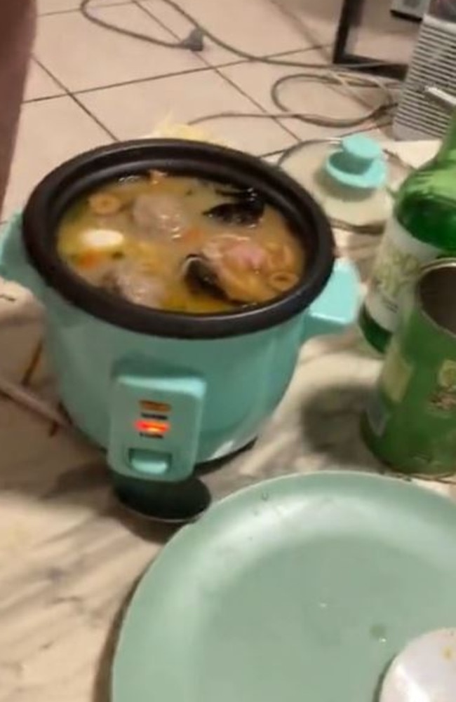 A shopper was called a ‘genius’ for using Kmart’s $15 mini rice cooker to make a hot pot. Picture: TikTok/@zaintrigg