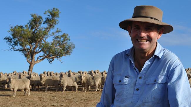 Yarrawonga Merino Stud’s Steve Phillips with some of their Merino ewes. Picture: Nicola Bell