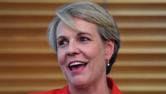 Deputy Leader of the Opposition Tanya Plibersek told Alan Jones she drives a Ford Territory because she needs a large vehicle to transport her children and their friends. Picture: AAP Image/Mick Tsikas