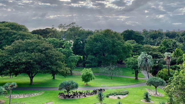 Royal Botanic Gardens. Picture: Scott Jones/Royal Botanic Garden Sydney