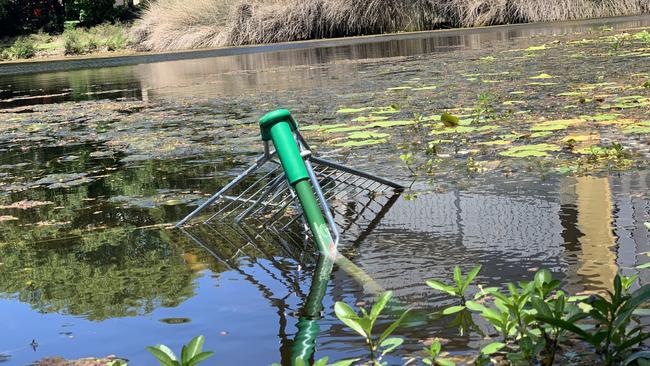 Trolleys have been dumped in Gold Coast waterways Picture: Hermann Vorster