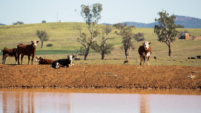 2020 was last week declared the fourth-hottest year on record in Australia.