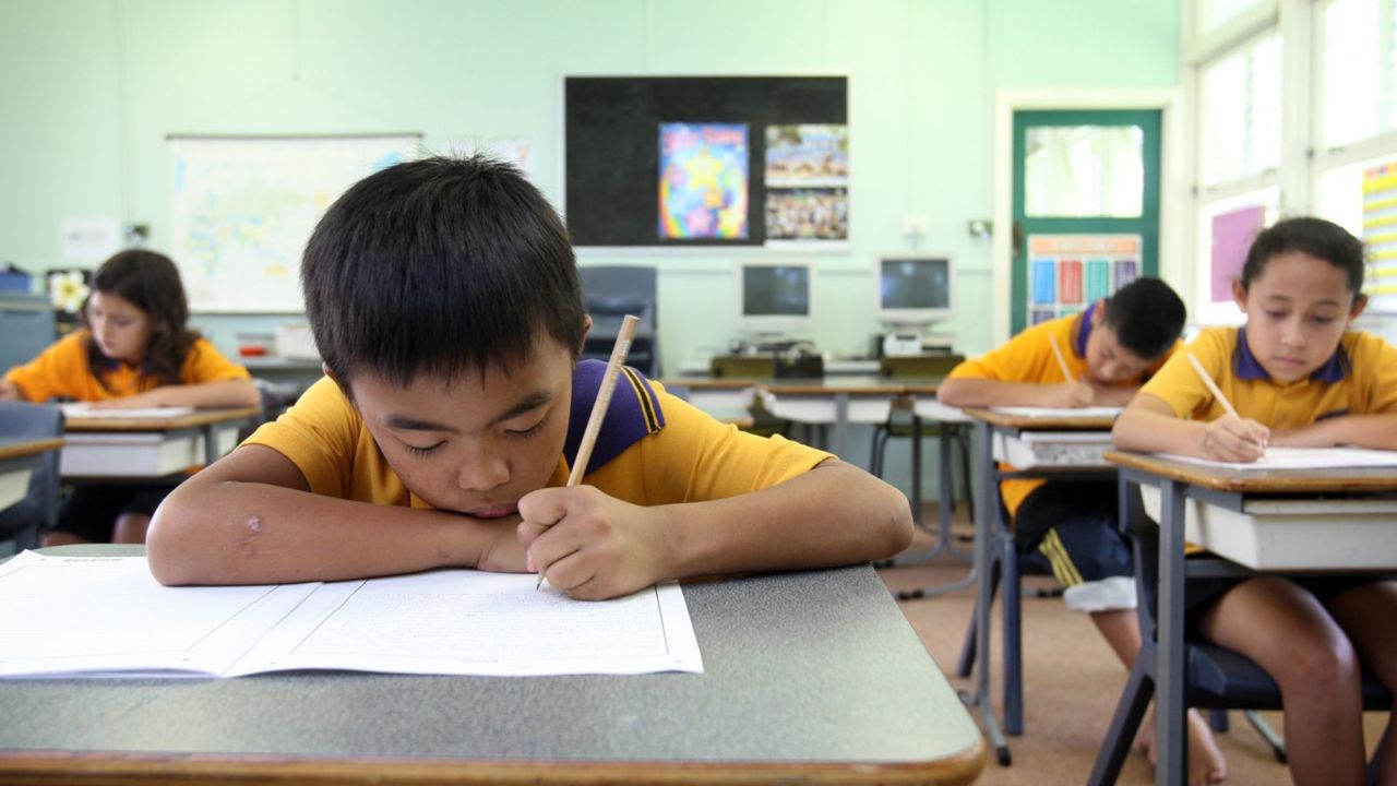 Push to discard NAPLAN results