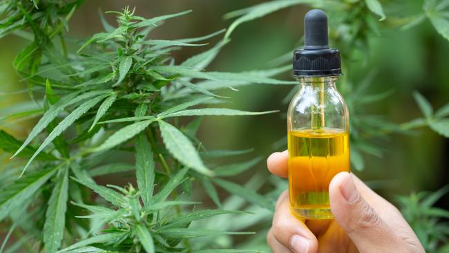 Low-dose CBD oil can now be sold over the counter in pharmacies from next year. Picture: iStock