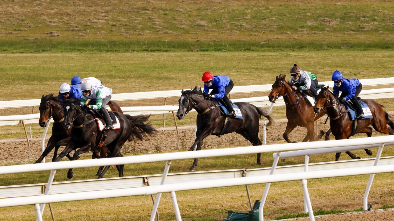 Hawkesbury Barrier Trials