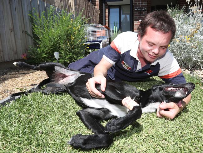 Josh Seiler says Bluey has been critical to helping him in his battle with PTSD. Picture: Alan Barber