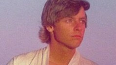 Sporn had a massive crush on actor Mark Hamill – aka Luke Skywalker – growing up.