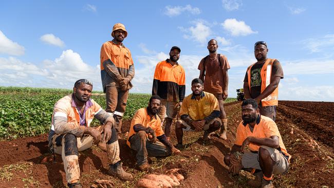 A Tasmanian labour hire company which brought Palm Scheme workers to Bundaberg despite limited employment opportunities has has its licence revoked by the federal government. Photo Paul Beutel