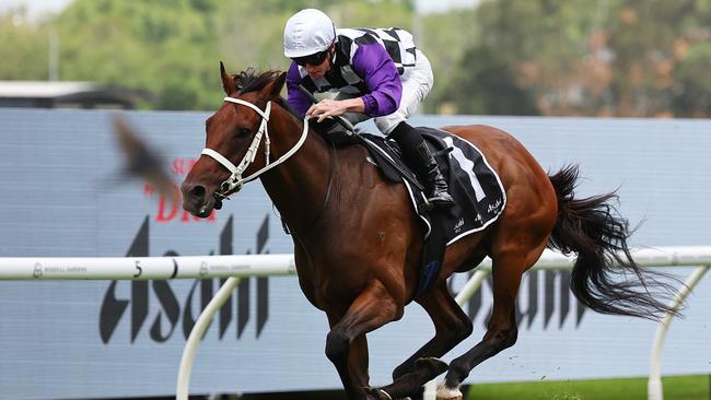 SYDNEY, AUSTRALIA - JANUARY 18: James McDonald riding Osipenko win Race 7 Asahi Super Dry January Cup during Sydney Racing at Rosehill Gardens Racecourse on January 18, 2025 in Sydney, Australia. (Photo by Jeremy Ng/Getty Images)