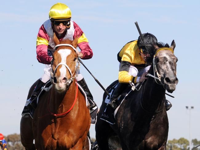 Photographer: Simon Bullard.Race 3 MORE THAN READY @ VINERY HANDICAP (3YO&UP BM75) - 2400m.Winner 'Soviet Courage' ridden by Glynn Schofield.