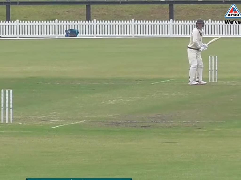 The green pitch at Kardinia Park on Saturday. Picture: Play Cricket