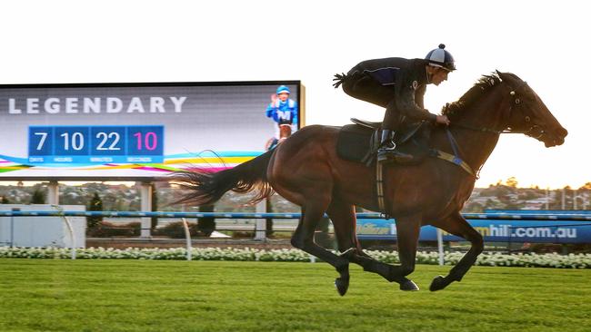 Winx is in great shape for her title defence at Moonee Valley on Saturday. Picture: Colleen Petch