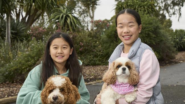 Million Paws Walk at Adelaide Botanic Gardens. Picture: Matt Loxton