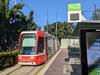 ‘Packed in like sardines’: Public transport chaos