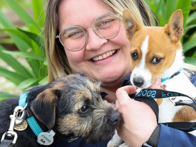 FEATURESBANK SA XMAS MAG/PROFILESAustralian Lions Hearing Dogs - Alix Katala with dogsBailey (cream labradoodle) 14 weeksFrodo (border terrier) 5 monthsMilo (tenterfield terrier) 12 weeksIMAGE/Russell Millard