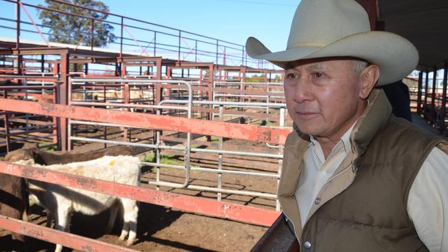 Darryl Joekong from Thaynes Creek was scoping out the market before selling his 40 cows and calves. Photo Emma Boughen