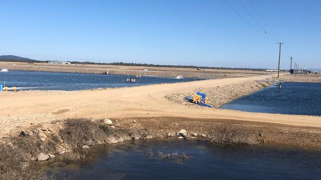 The Tassal prawn farm at Proserpine has been granted an Environmental Authority.