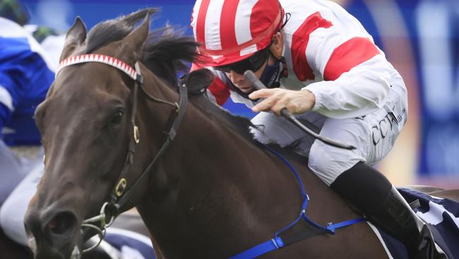 Chris Williams on All Time Legend wins the Sky Racing Active Handicap.