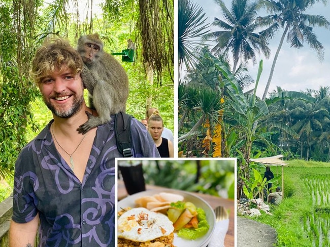 Tourist's Bali monkey showdown over sunscreen