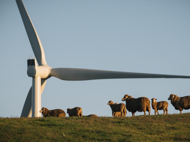 South AustraliaÕs newest wind farm, the Neoen and Siemens developed Hornsdale project, was switched on to the grid in a special Ôenergisation ceremony on July 7. Hornsdale Wind Farm