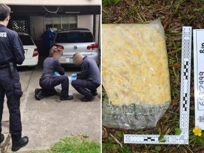 cocaine in banana skin found by cops