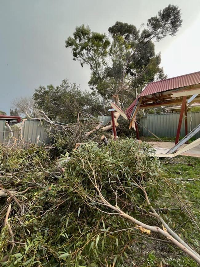 Trees were down and buildings damaged. Picture: Ross Melville Strathalbyn CFS