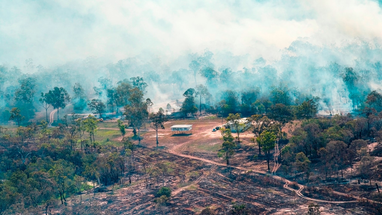 'Confusing' land clearing laws blamed for Qld bushfire crisis