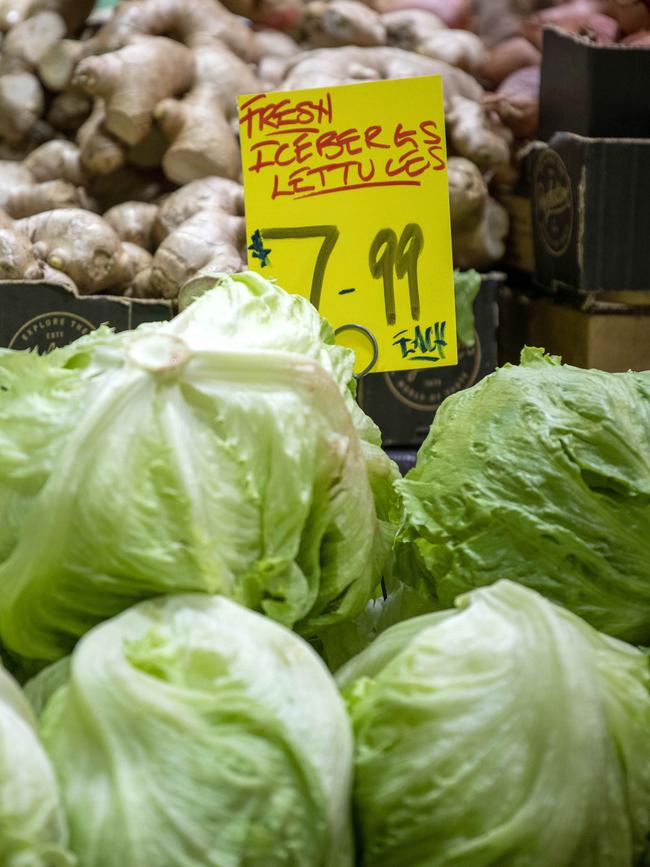 Expensive iceberg lettuce on display at Adelaide Central Markets. Picture: NCA NewsWire / Naomi Jellicoe