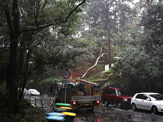 Ausgrid workers look at a fallen tree that lies over the top of a power line on Warraroon St, Lane Cove / Picture: Adam Yip