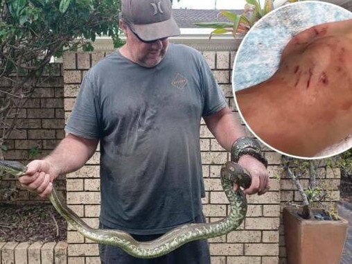 The python dragged the young boy into the pool. Picture: 3AW/Supplied