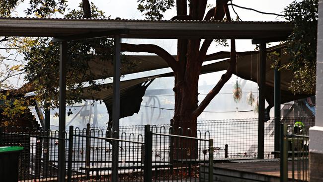 A photo of the fire damaged buildings at Lane Cove Public School in 2020.