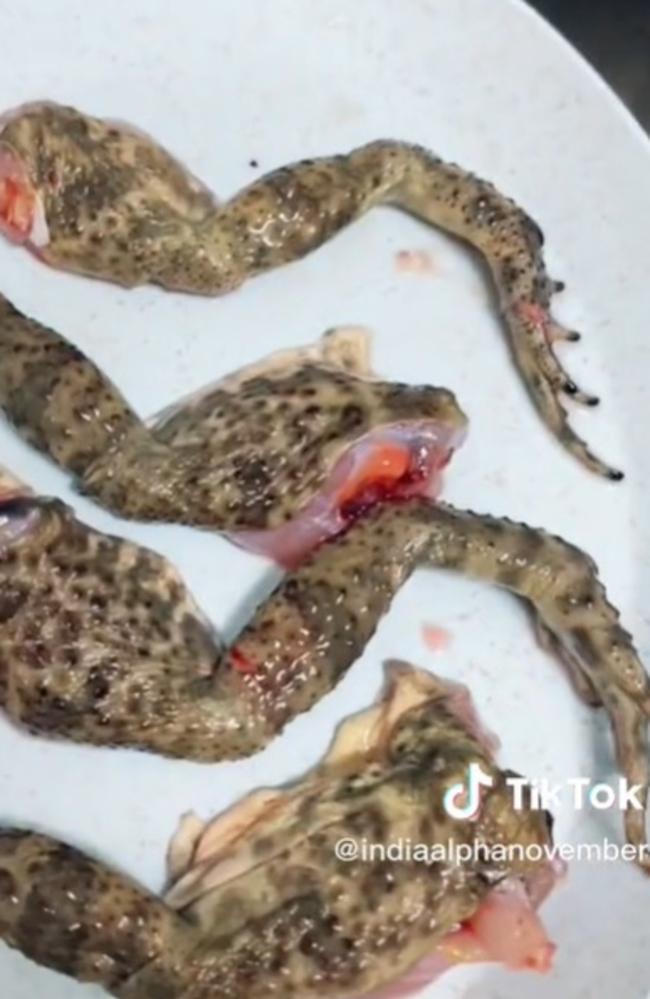 TikiTok star Ian Bartholomew cooks and eats cane toad legs in a new video.