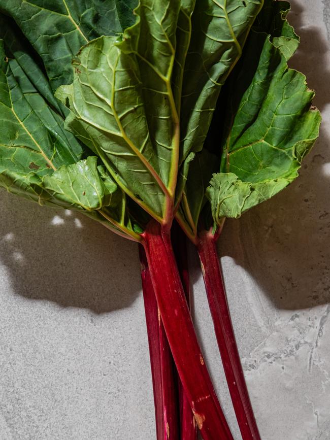 Rhubarb is coming into season. Photo: Nikki To / TWAM