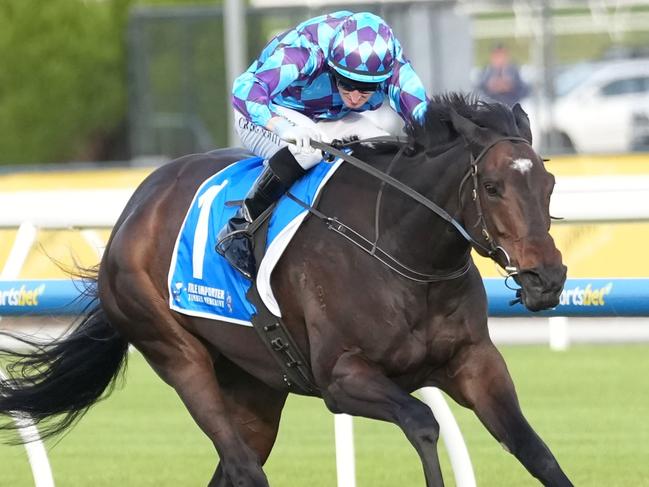 Pride Of Jenni ridden by Craig Newitt wins the Tile Importer Anniversary Vase at Caulfield Racecourse on May 03, 2025 in Caulfield, Australia. (Photo by Scott Barbour/Racing Photos via Getty Images)