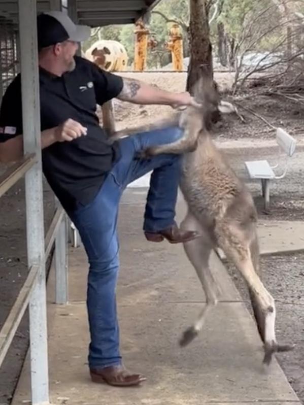 The man attempted to hold the roo at arm’s length. Picture: TikTok