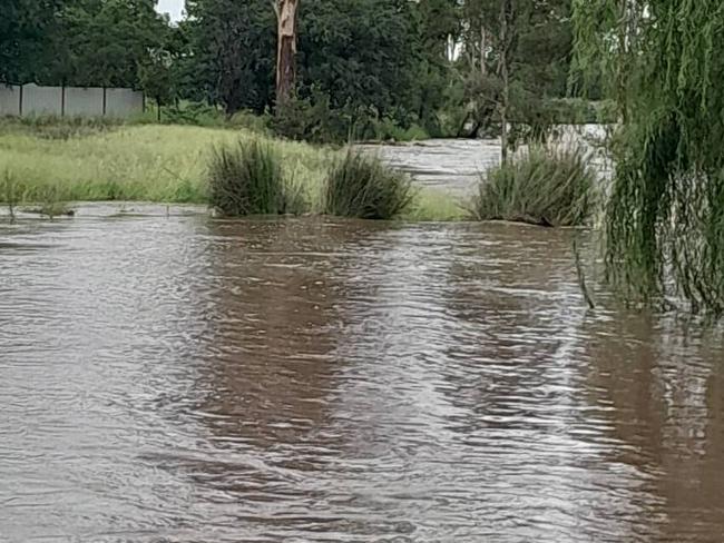 Jandowae Flood 2/1/2025