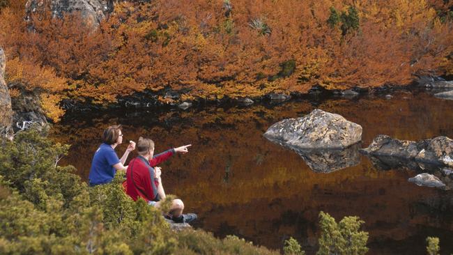 Watching the turning of the fagus in autumn is an iconic off-season Tasmanian activity. Mount Field National Park. Picture: Tourism Tasmania