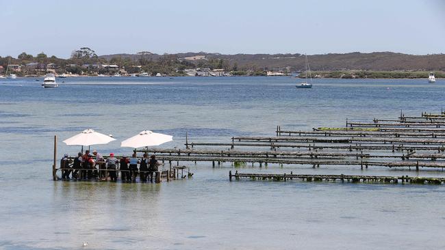 People tour one of Coffin Bay’s oyster farms. Picture: Dylan Coker